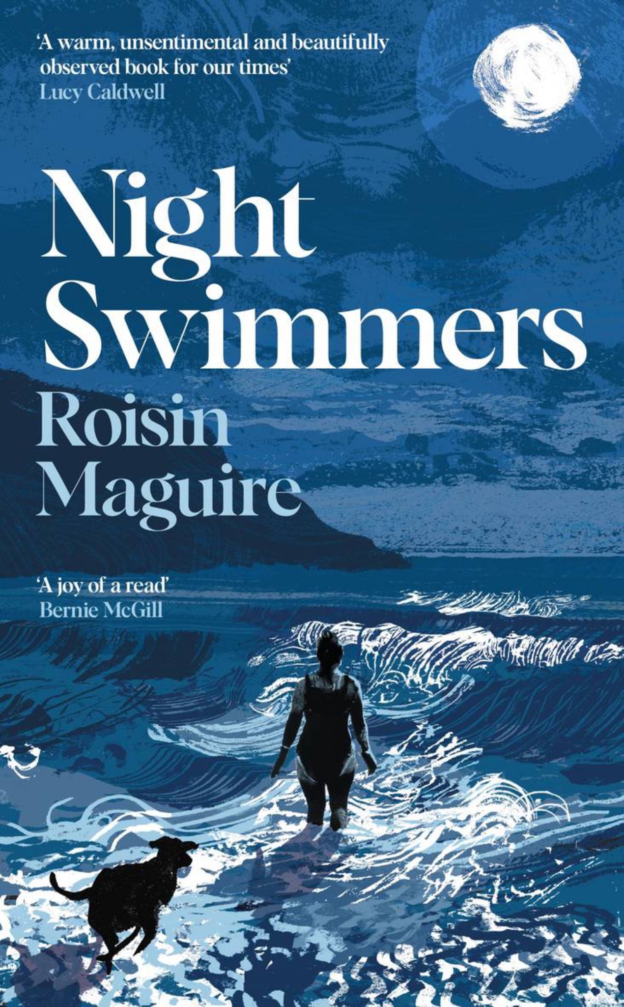 Night Swimmers Cover Image
