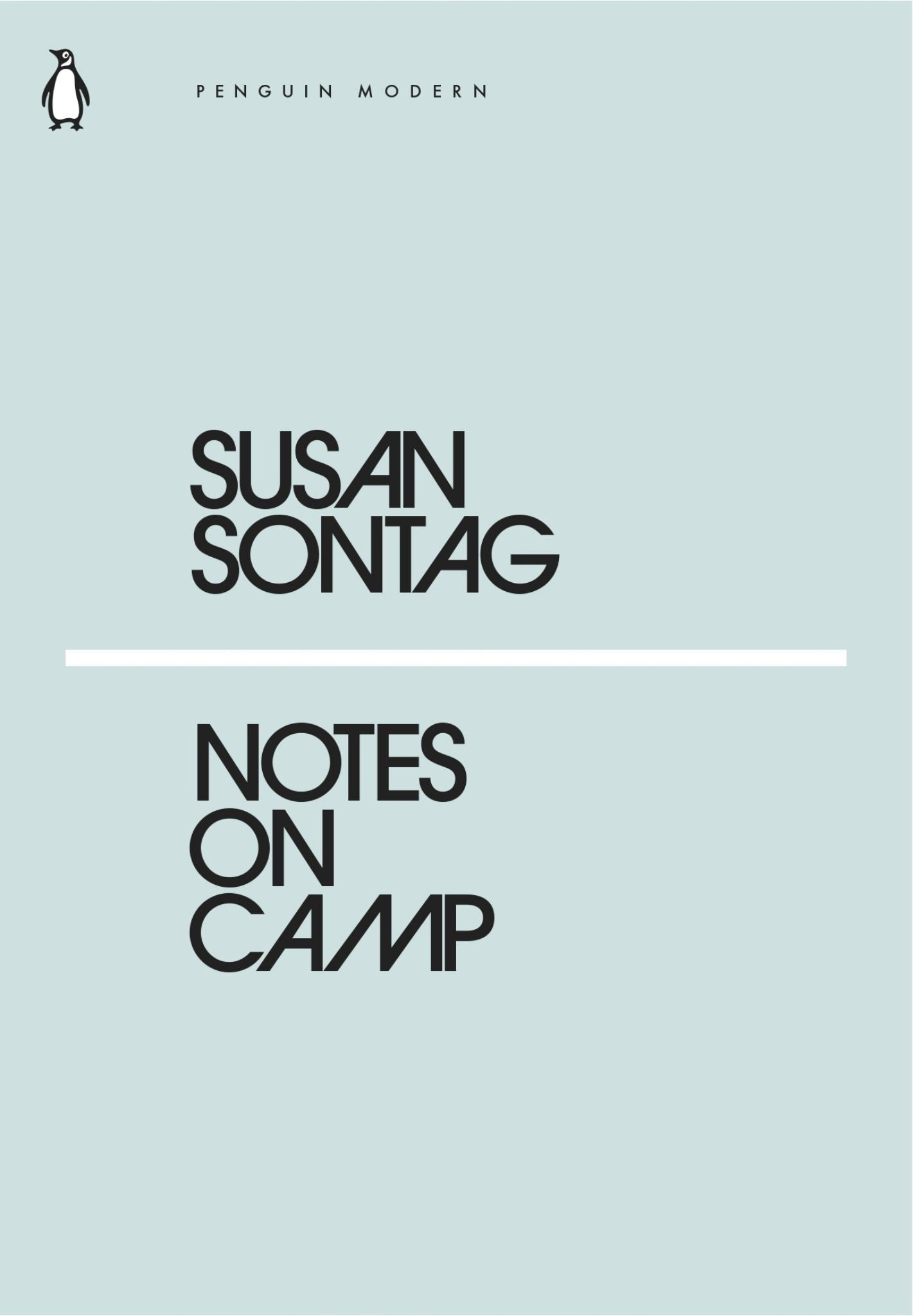 Notes on Camp Cover Image