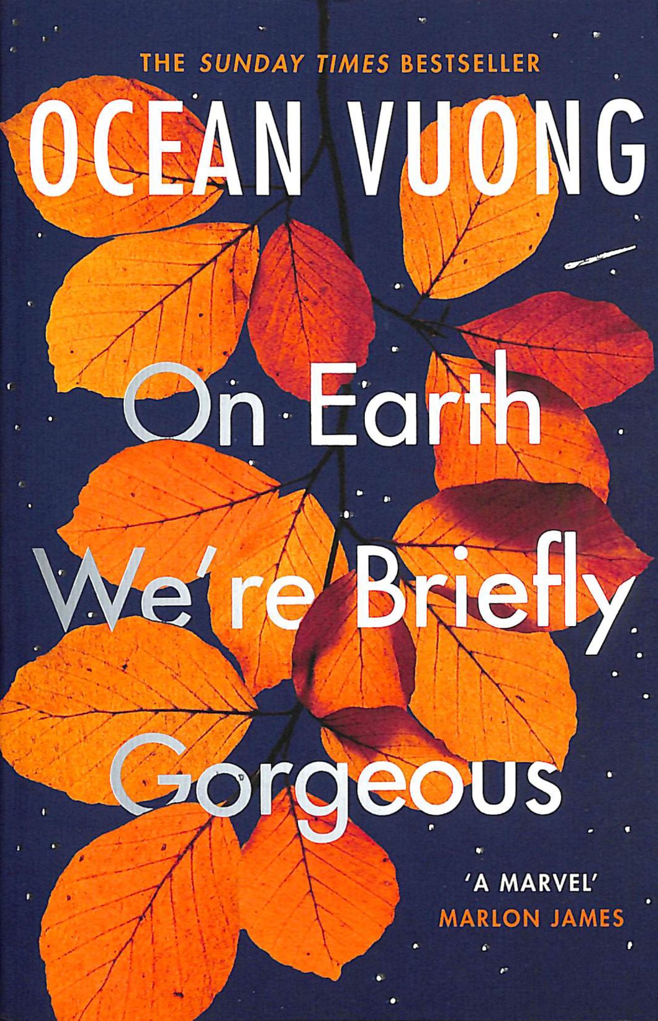 On Earth We're Briefly Gorgeous Cover Image