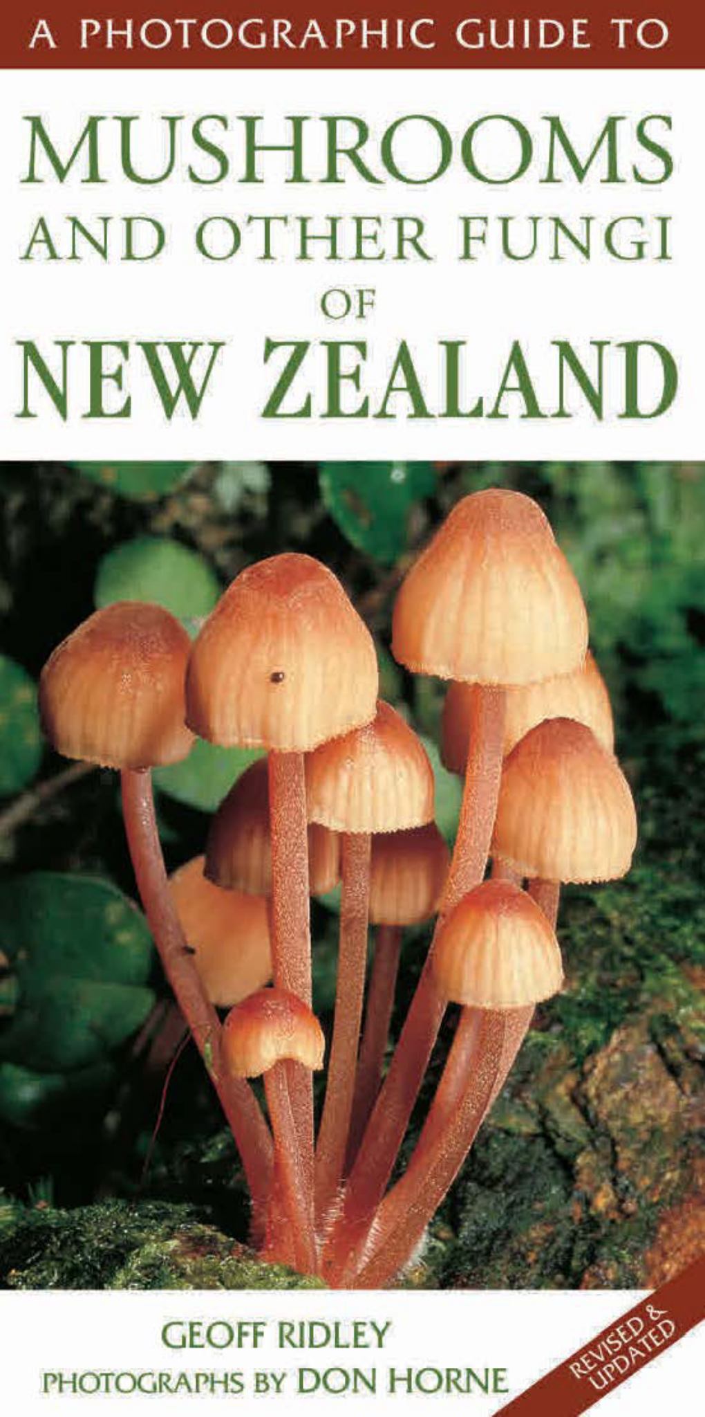 Photographic Guide to Mushrooms & Other Fungi of New Zealand Cover Image