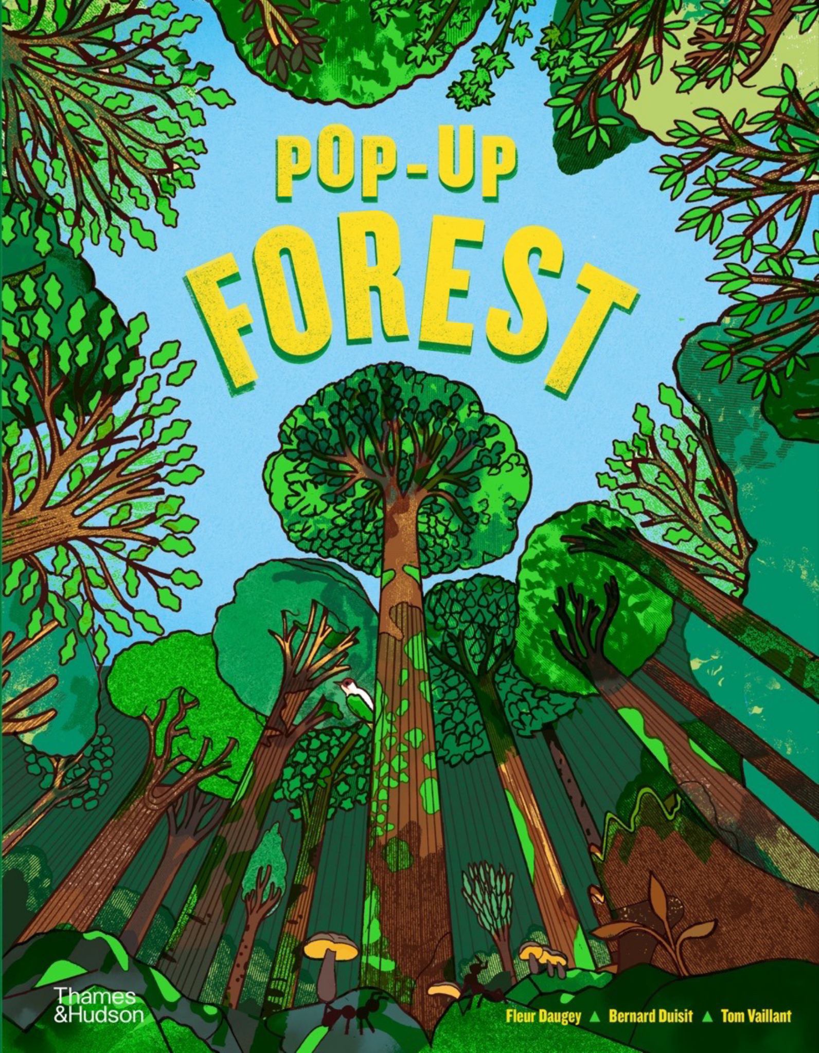 Pop-up Forest Cover Image