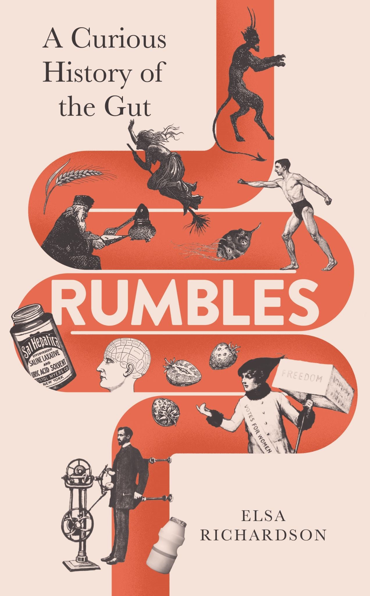 Rumbles A Curious History of the Gut Cover Image