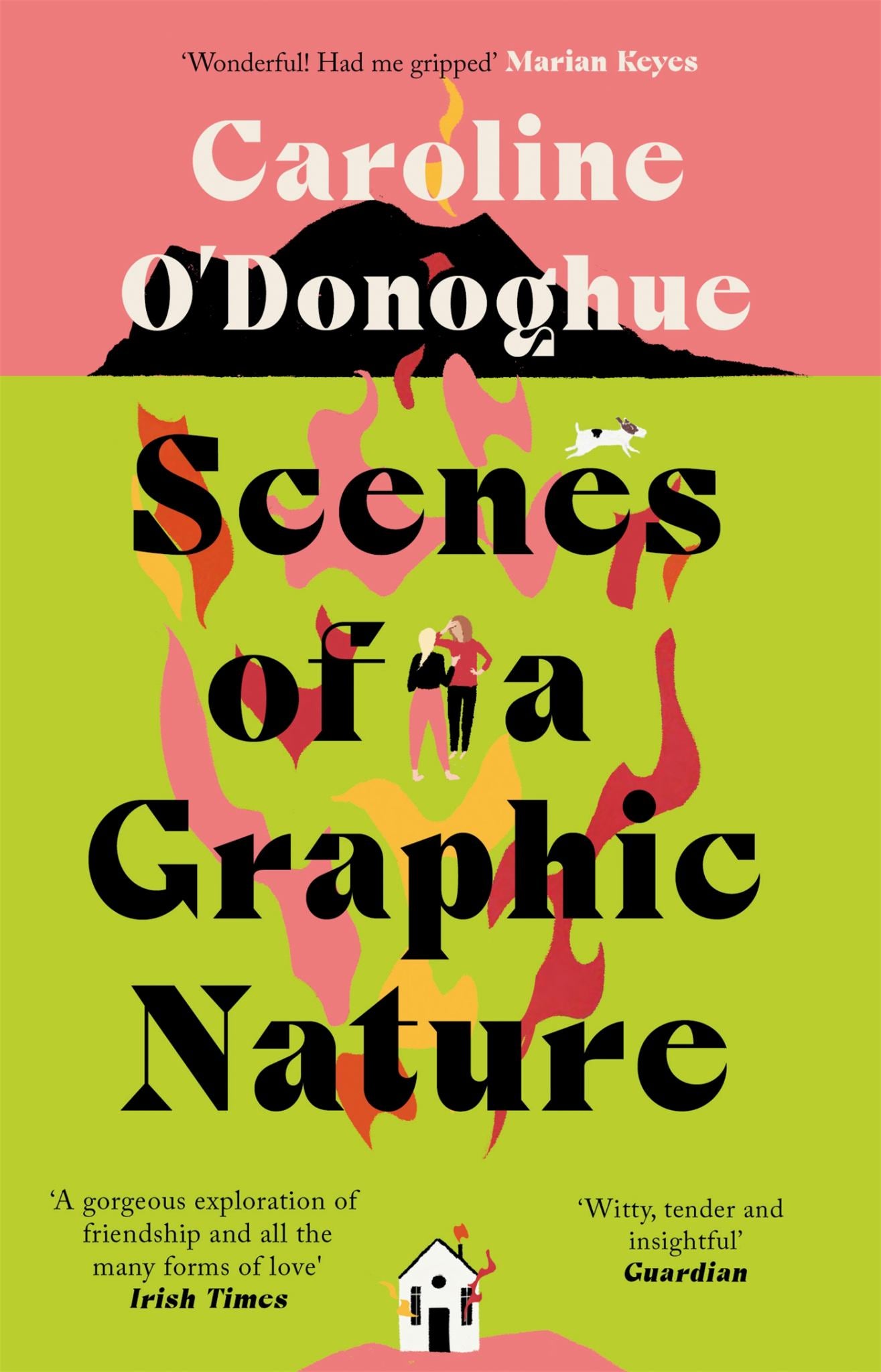 Scenes of a Graphic Nature Cover Image