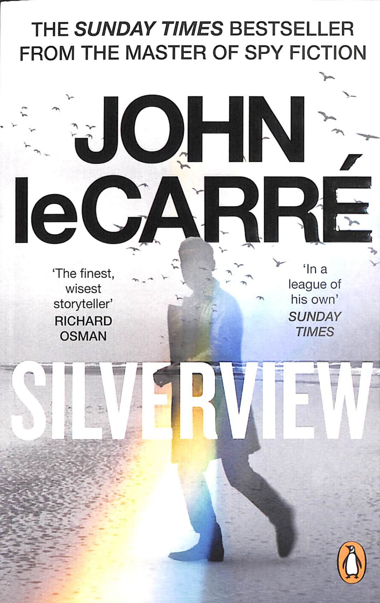 Silverview Cover Image