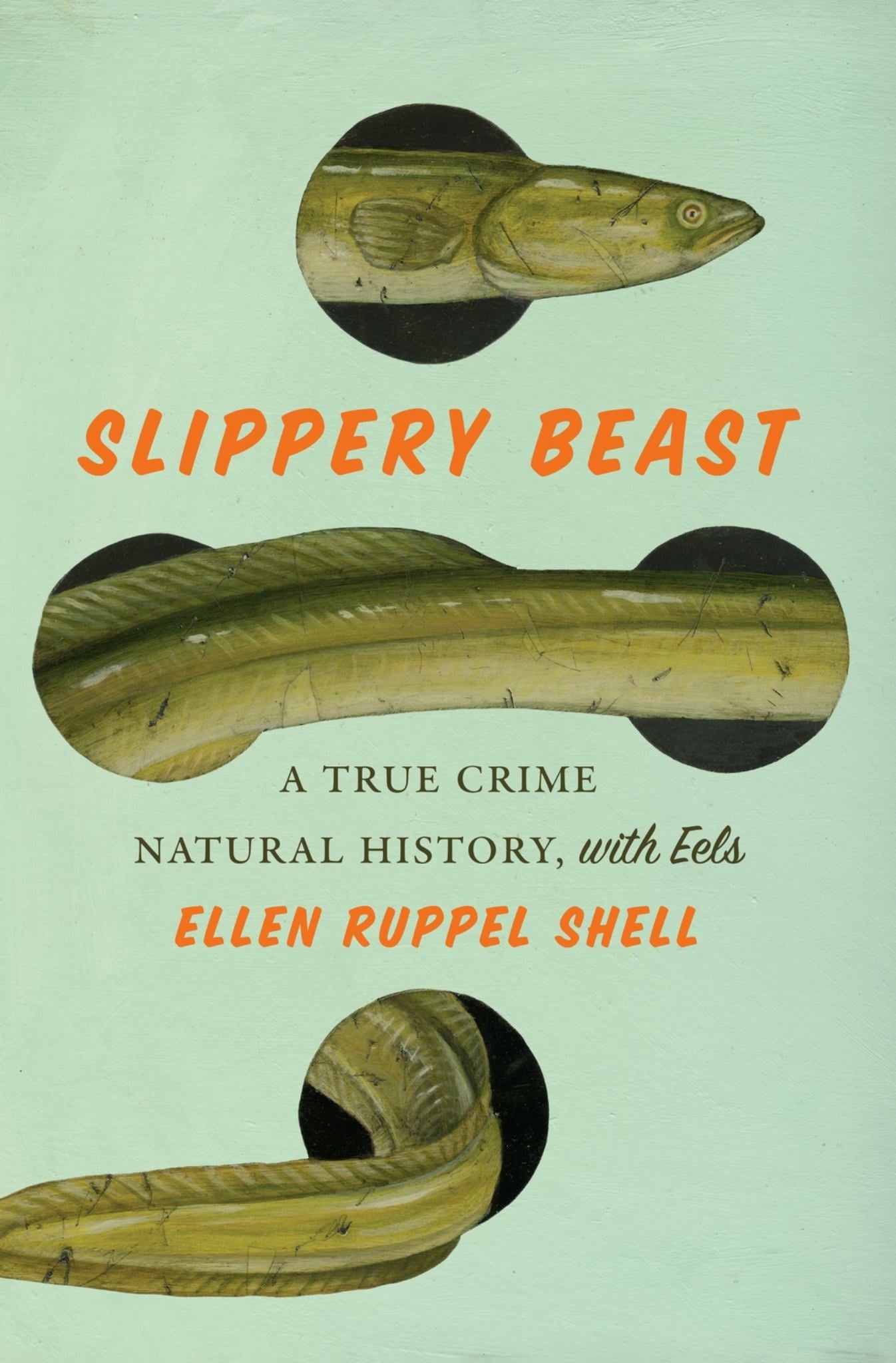 Slippery Beast A True Crime Natural History, with Eels Cover Image