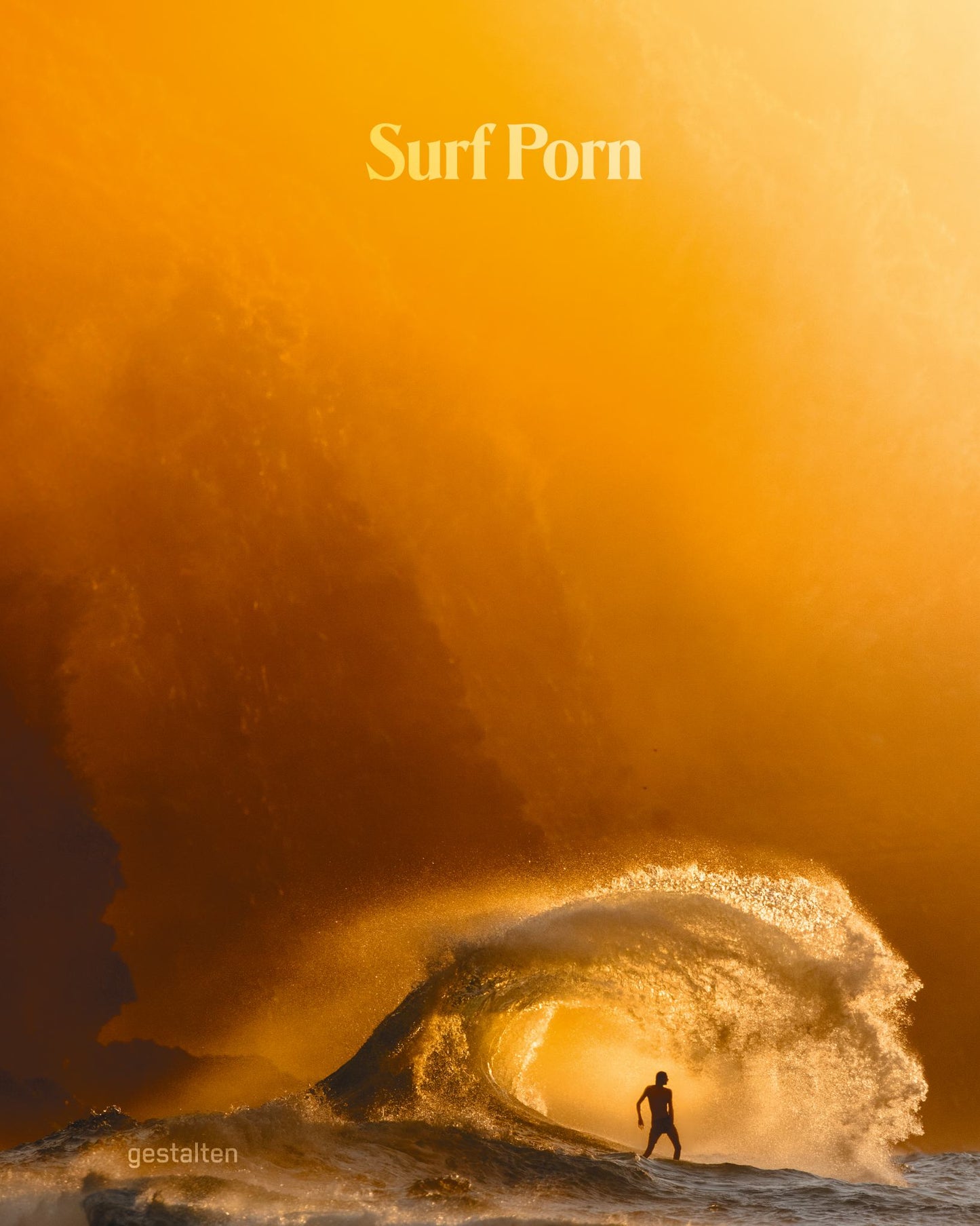 Surf Porn Surfing Finest Selection Cover Image