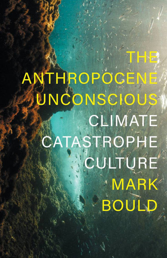 Anthropocene Unconscious : Climate Catastrophe Culture Cover Image