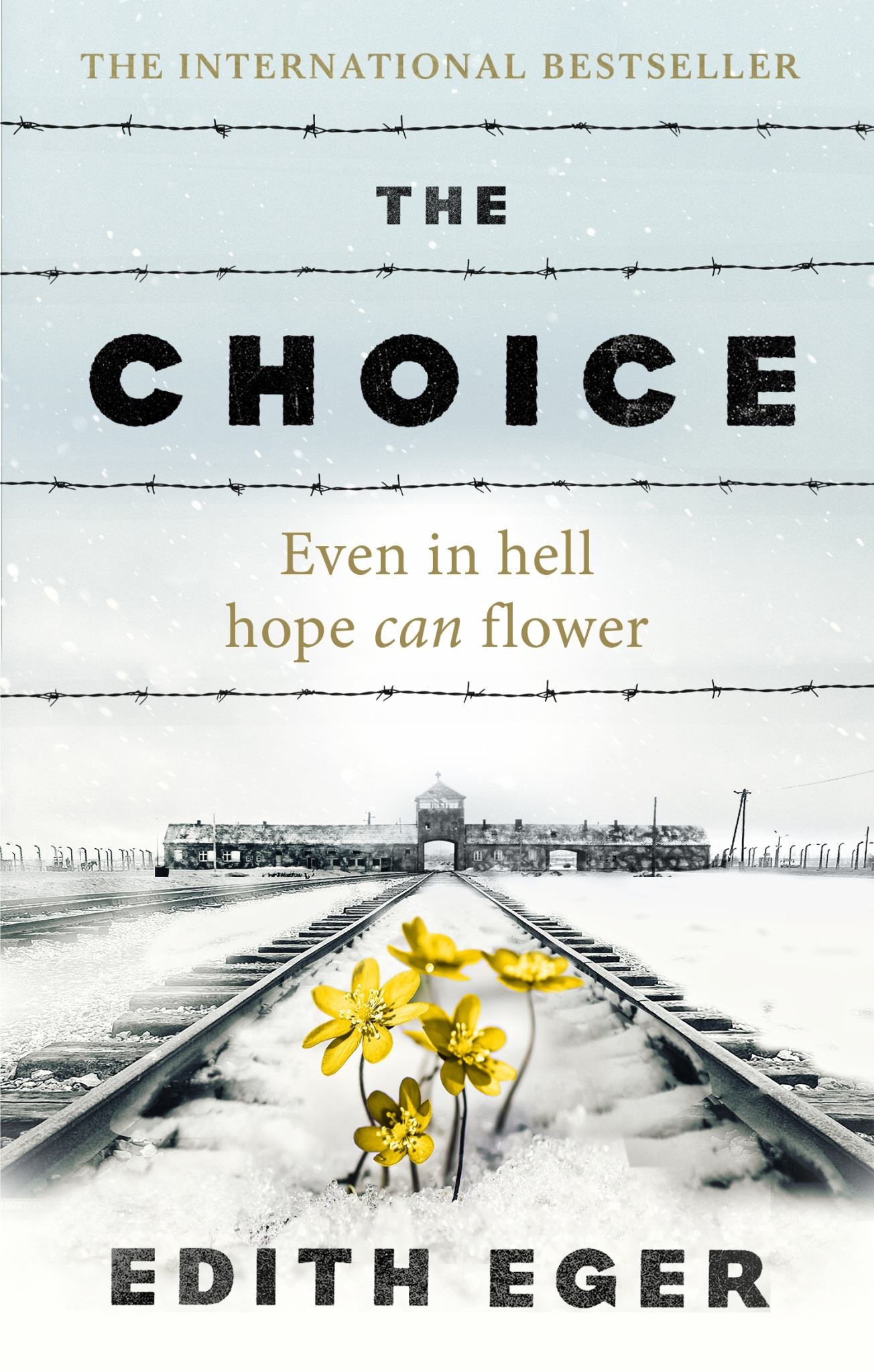 Choice Cover Image