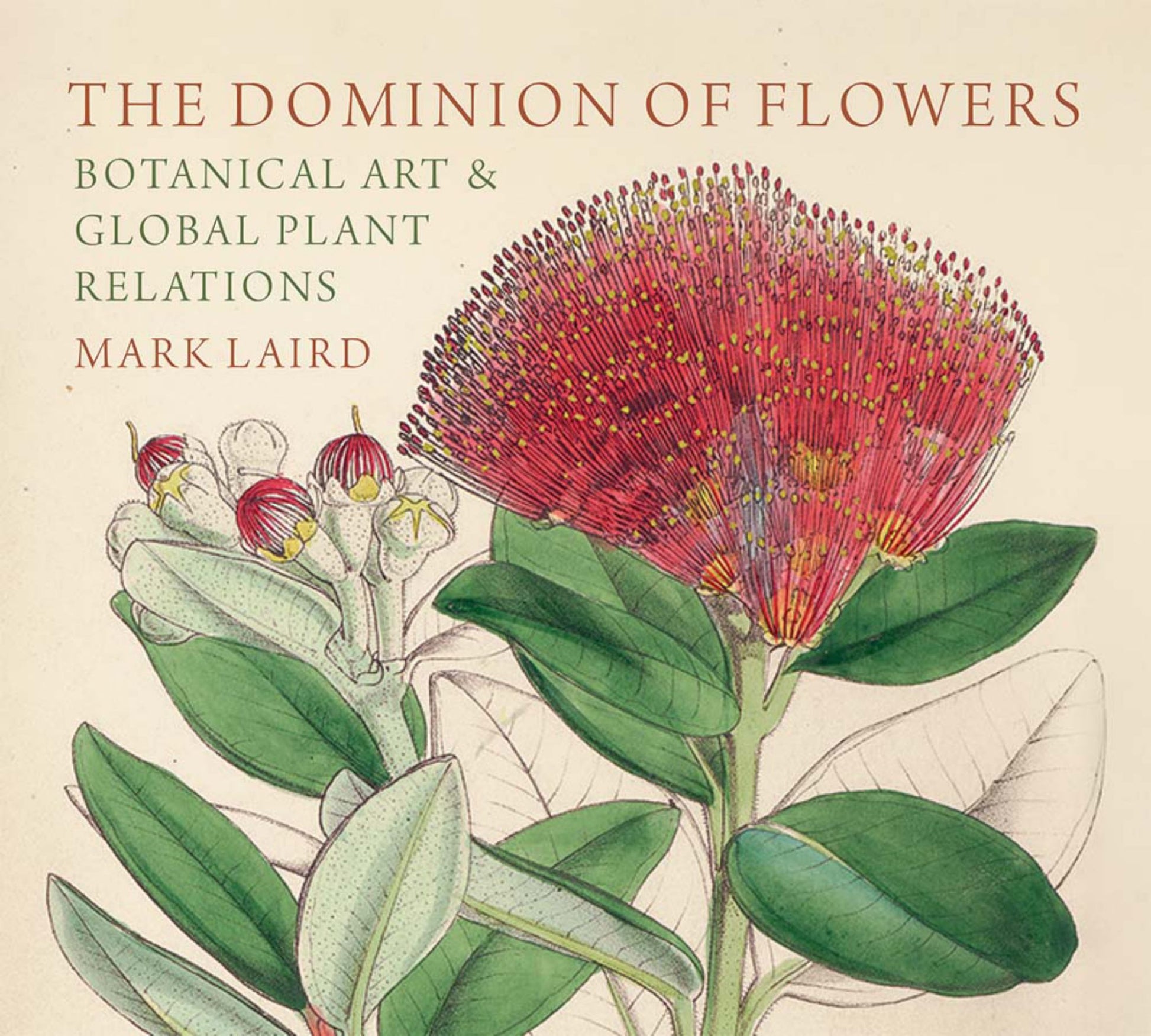 Dominion of Flowers Botanical Art and Global Plant Relations Cover Image