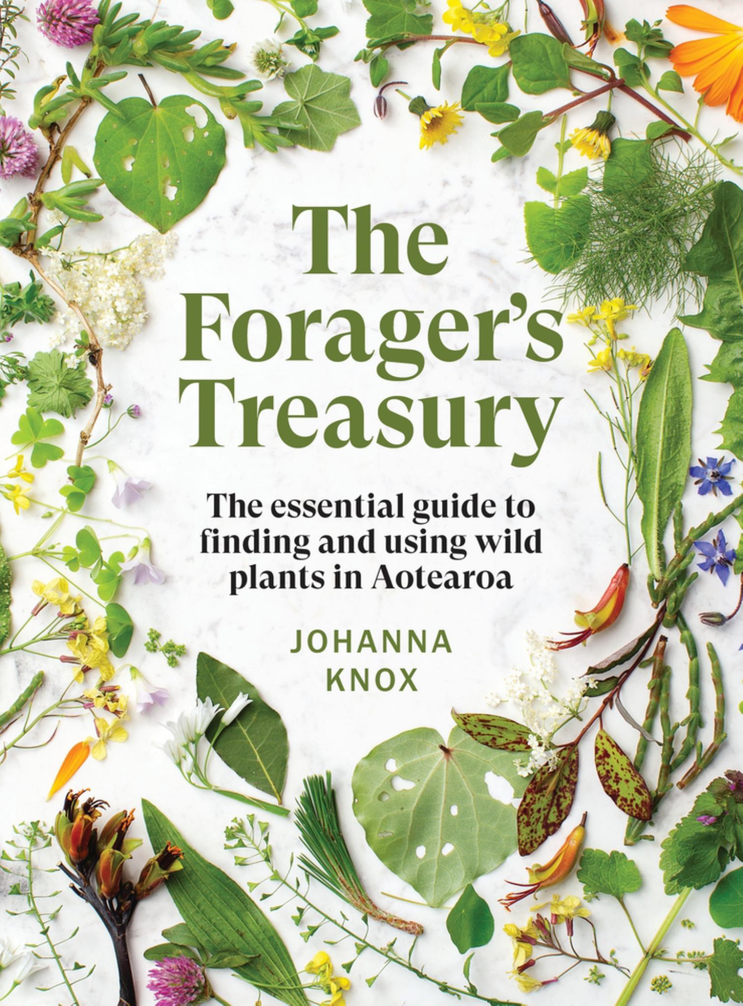 Forager's Treasury: The Essential Guide to Finding & Using Wild Plants in Aotearoa 2ed ^ Cover Image