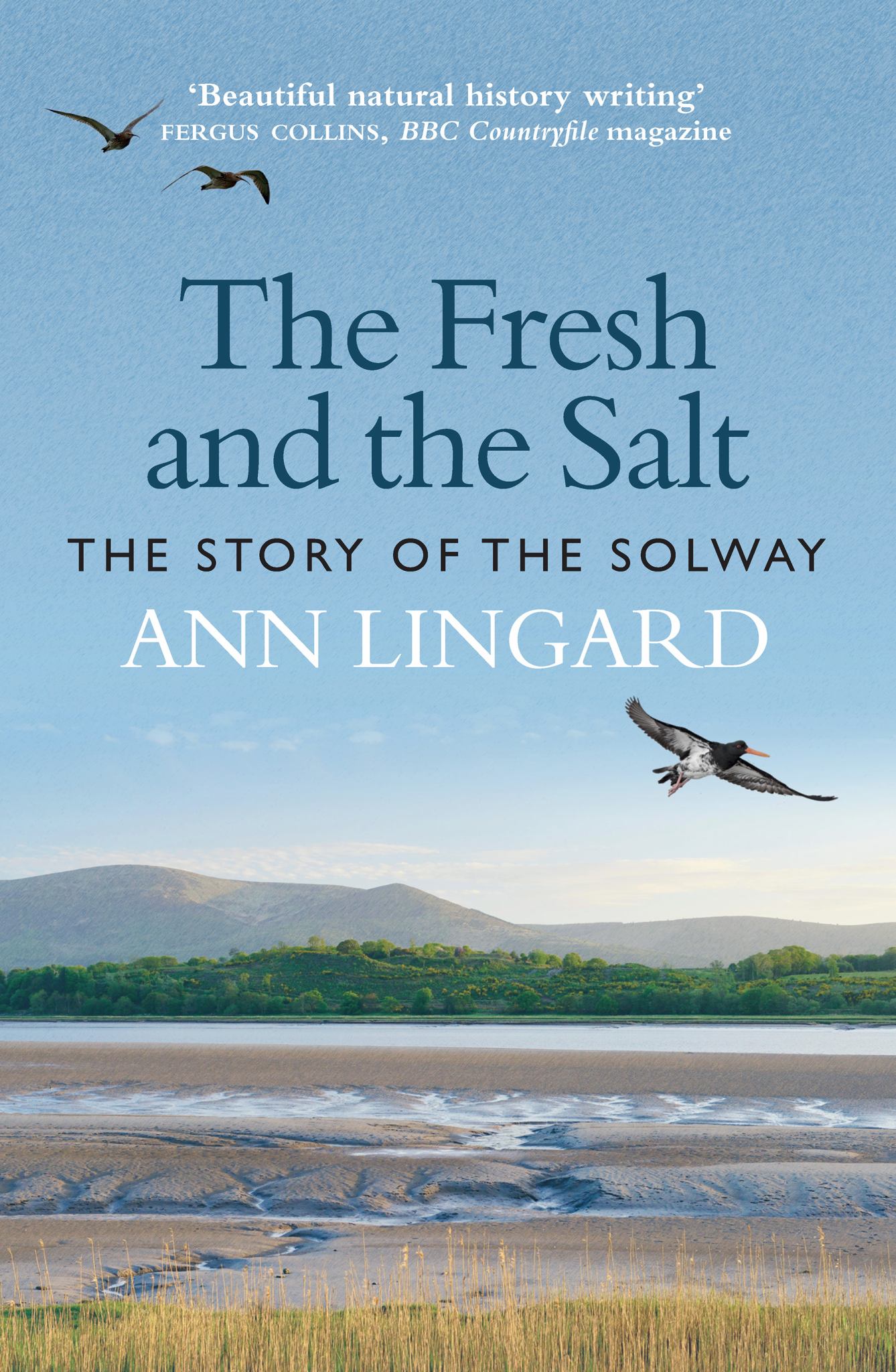 Fresh and the Salt The Story of the Solway Cover Image