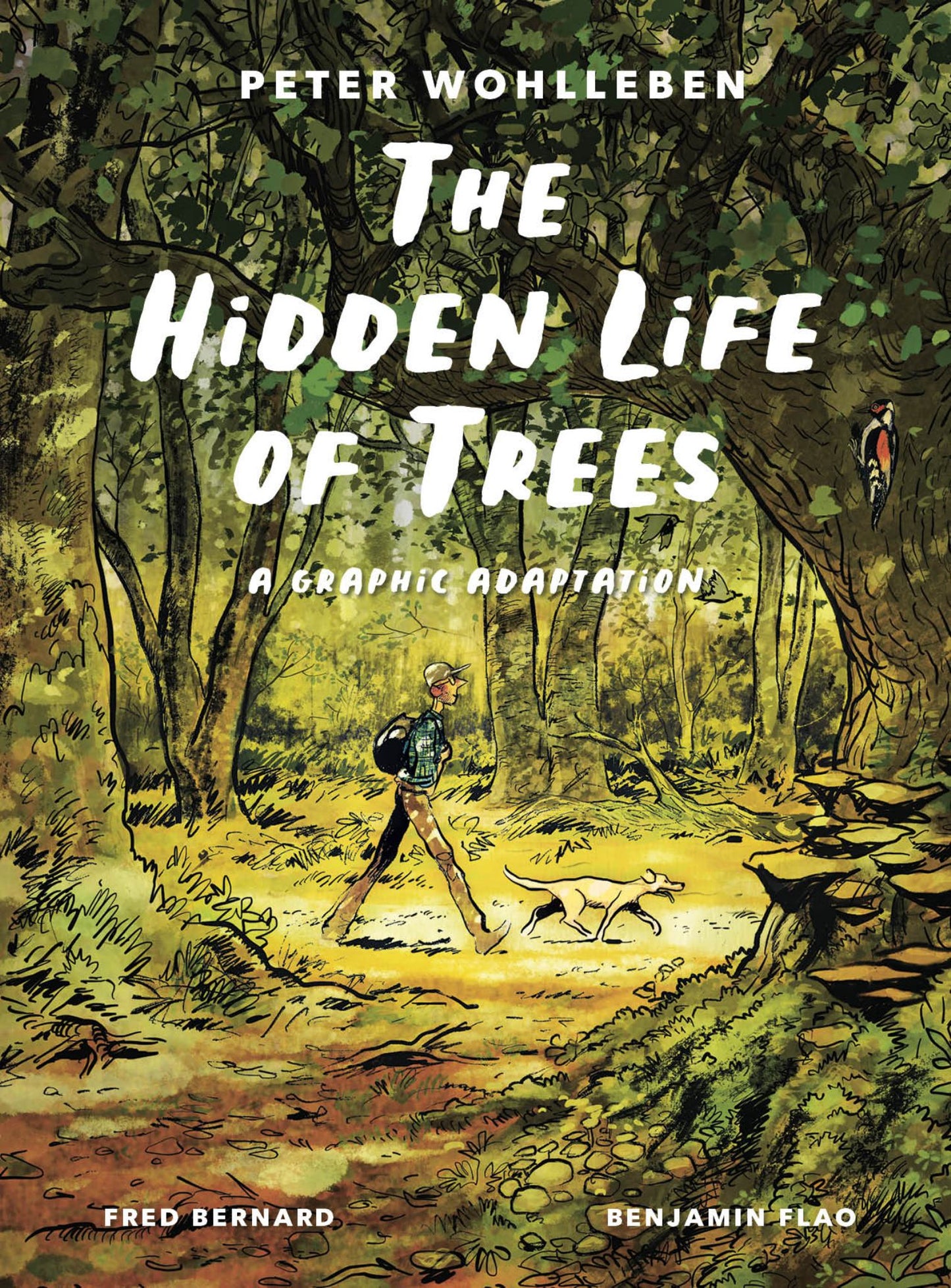Hidden Life of Trees A Graphic Adaptation Cover Image