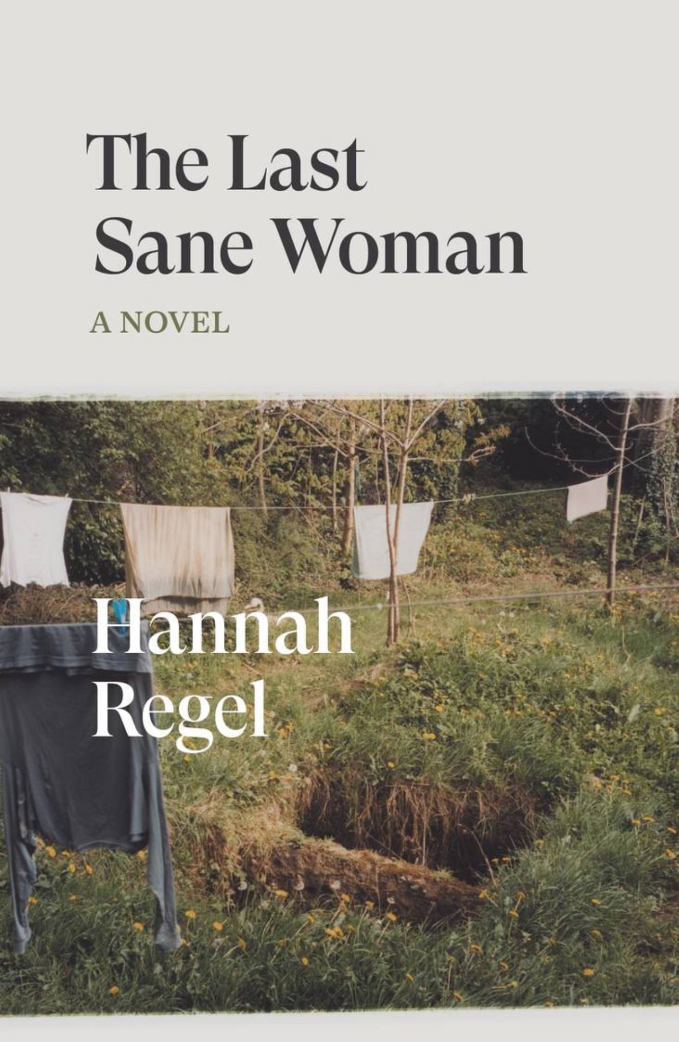Last Sane Woman A Novel Cover Image