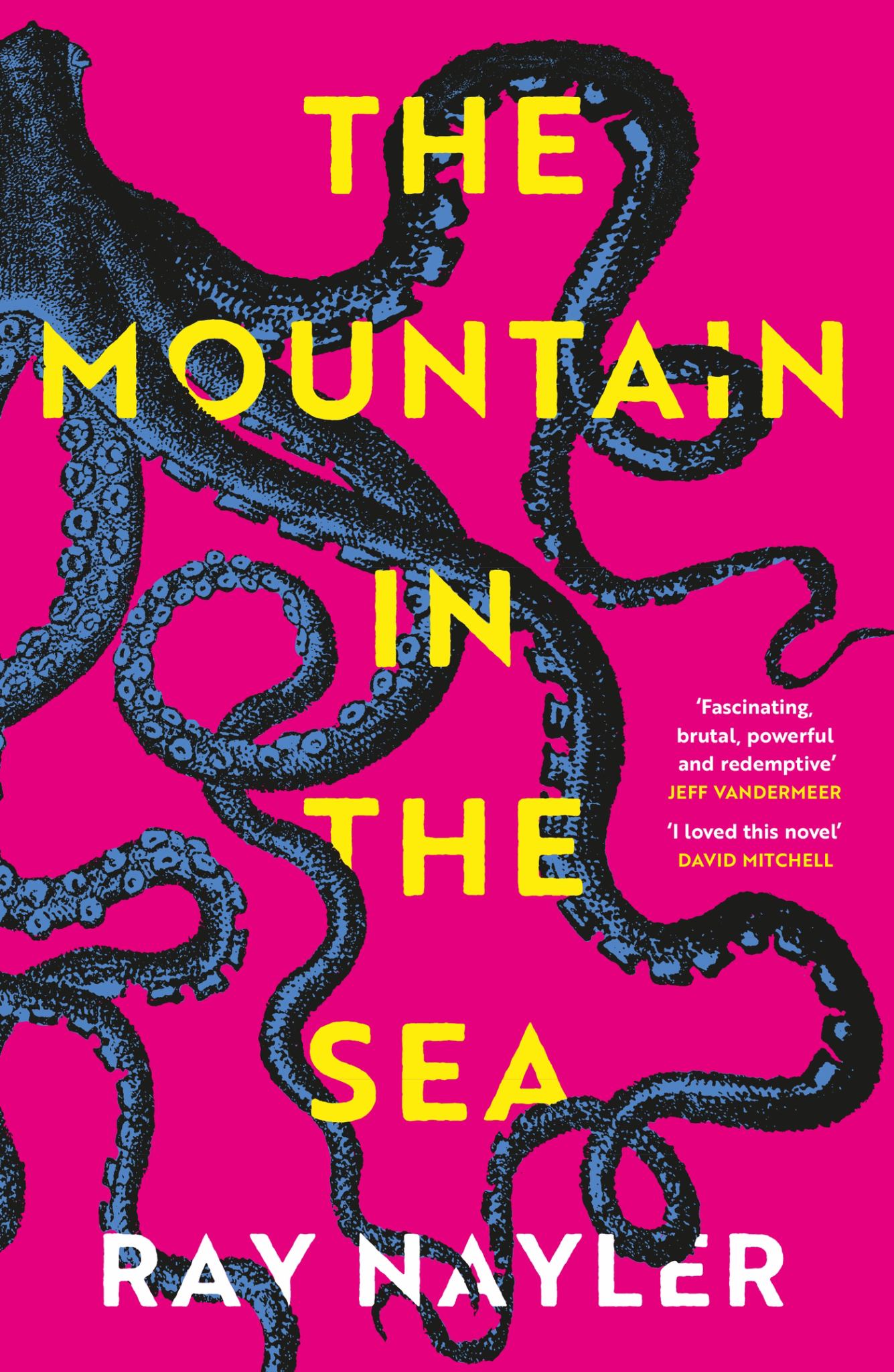 Mountain in the Sea Cover Image