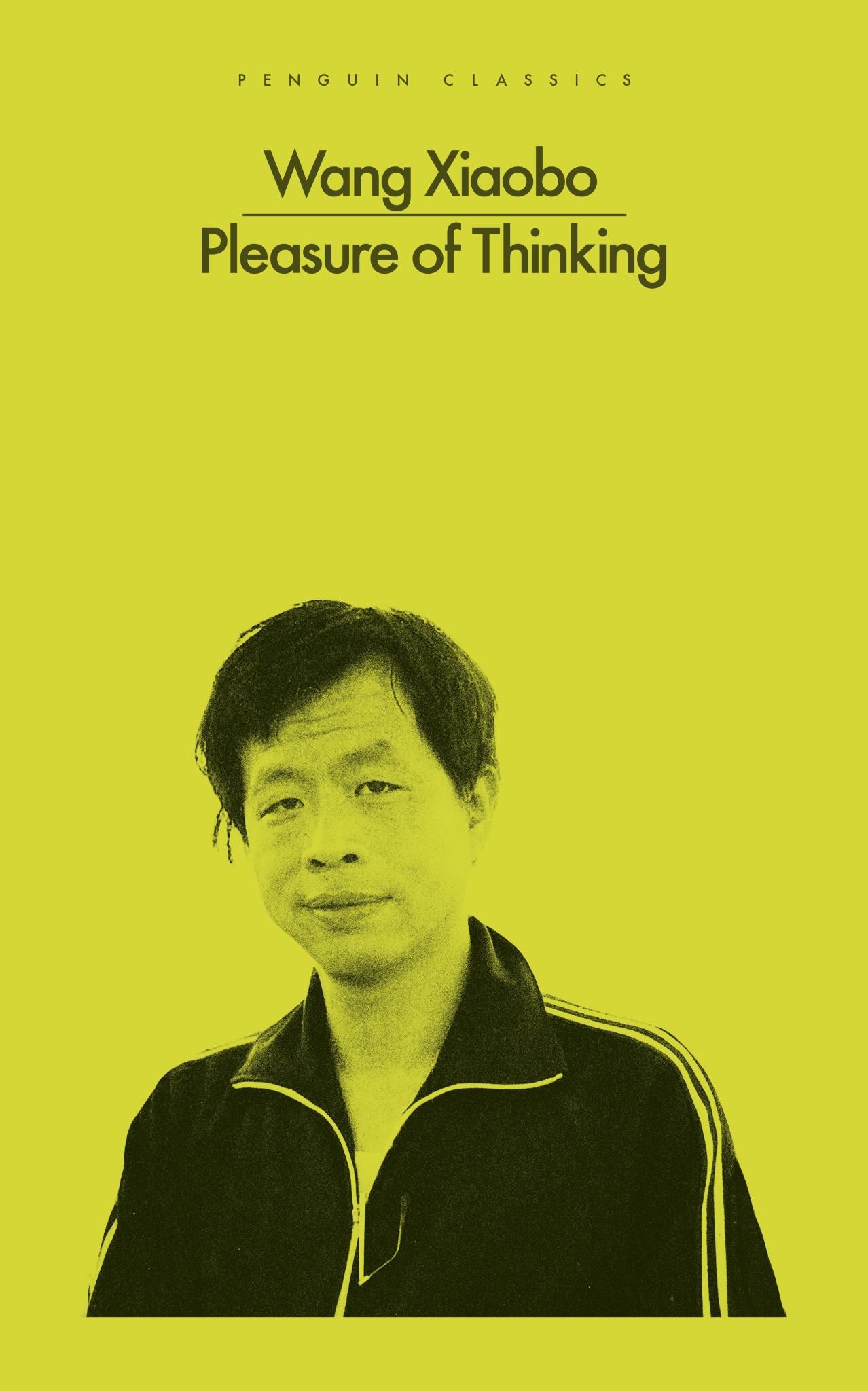 Pleasure of Thinking Cover Image