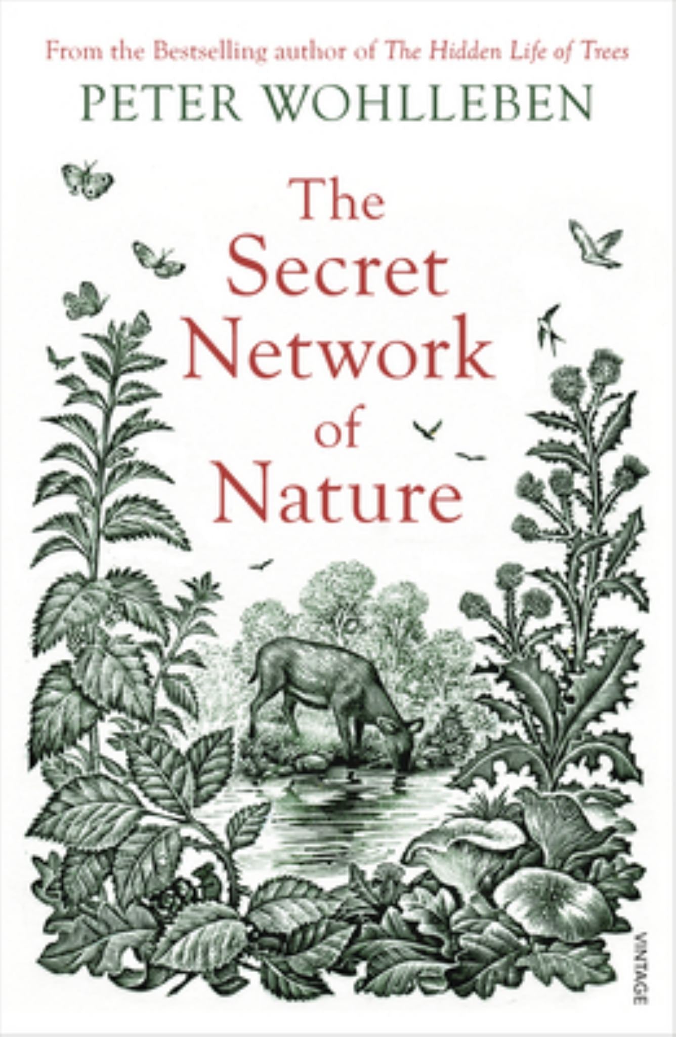 Secret Network of Nature Cover Image