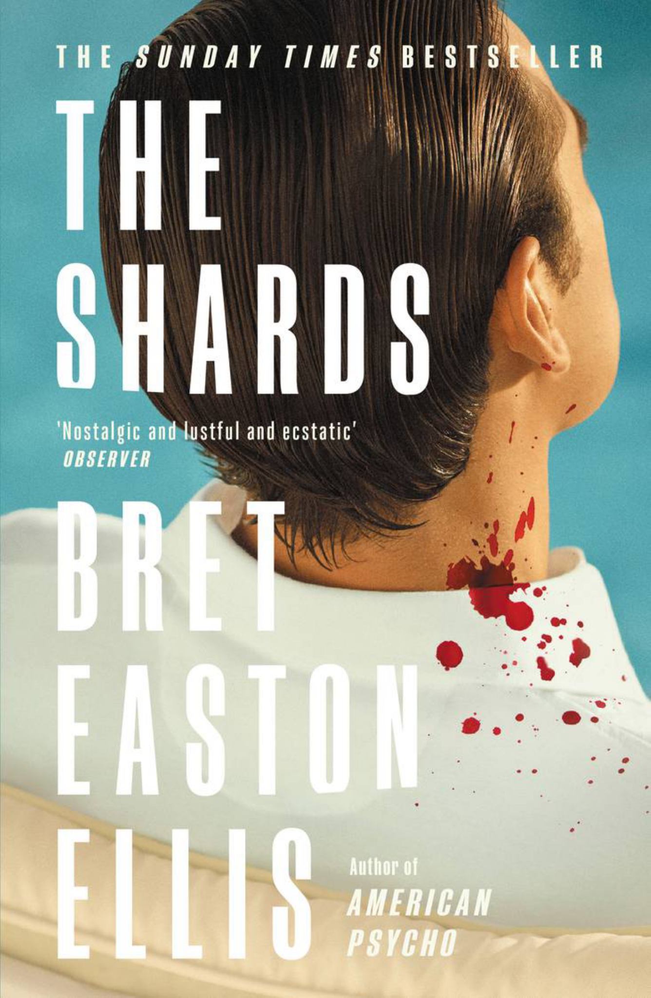 Shards Cover Image