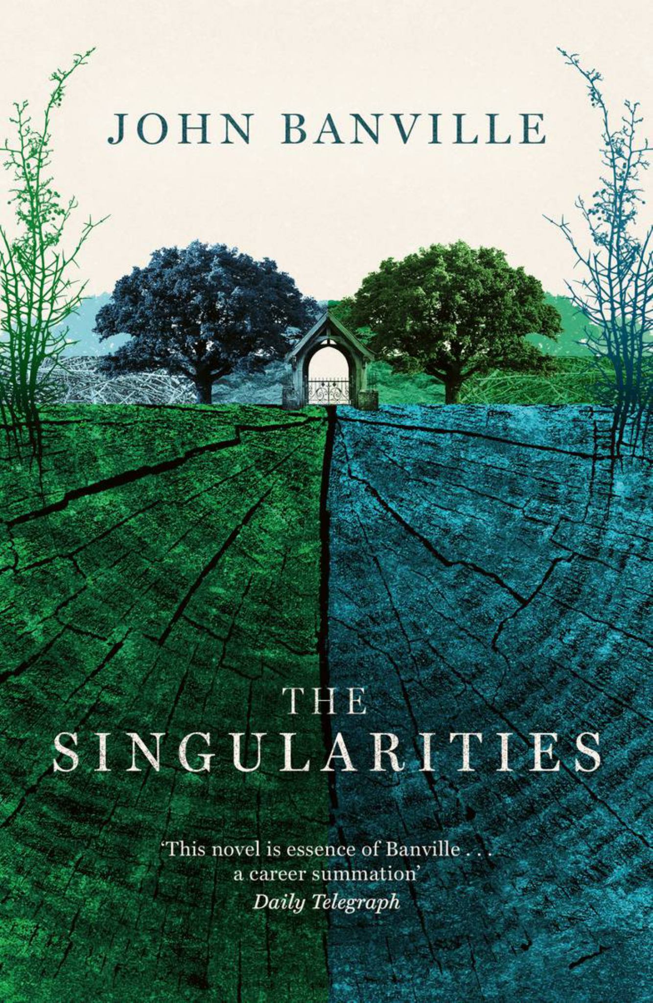 Singularities Cover Image