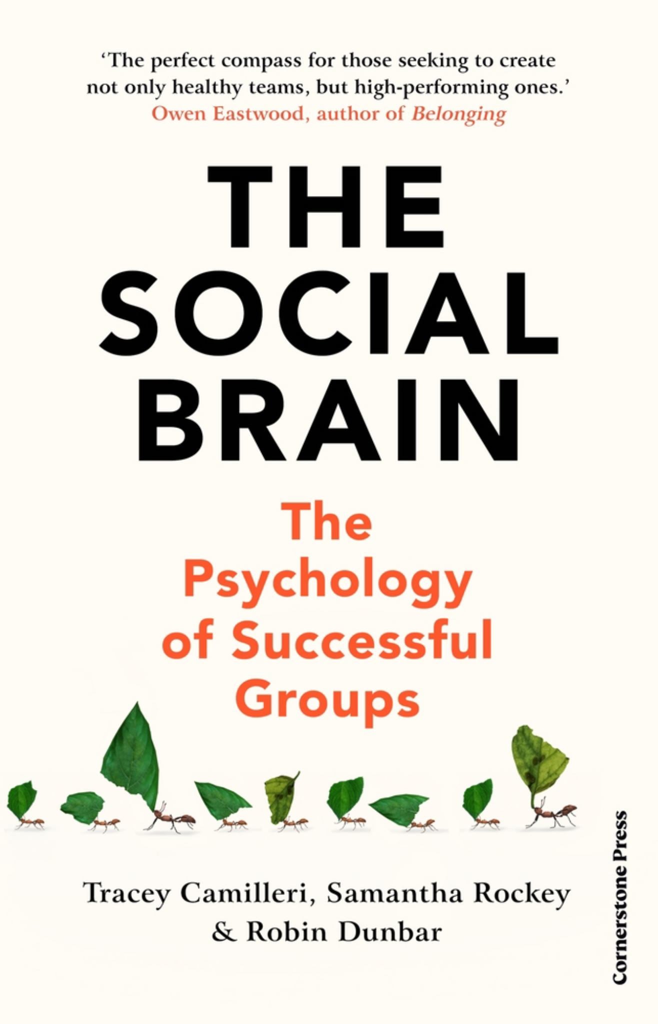 Social Brain The Psychology of Successful Groups Cover Image