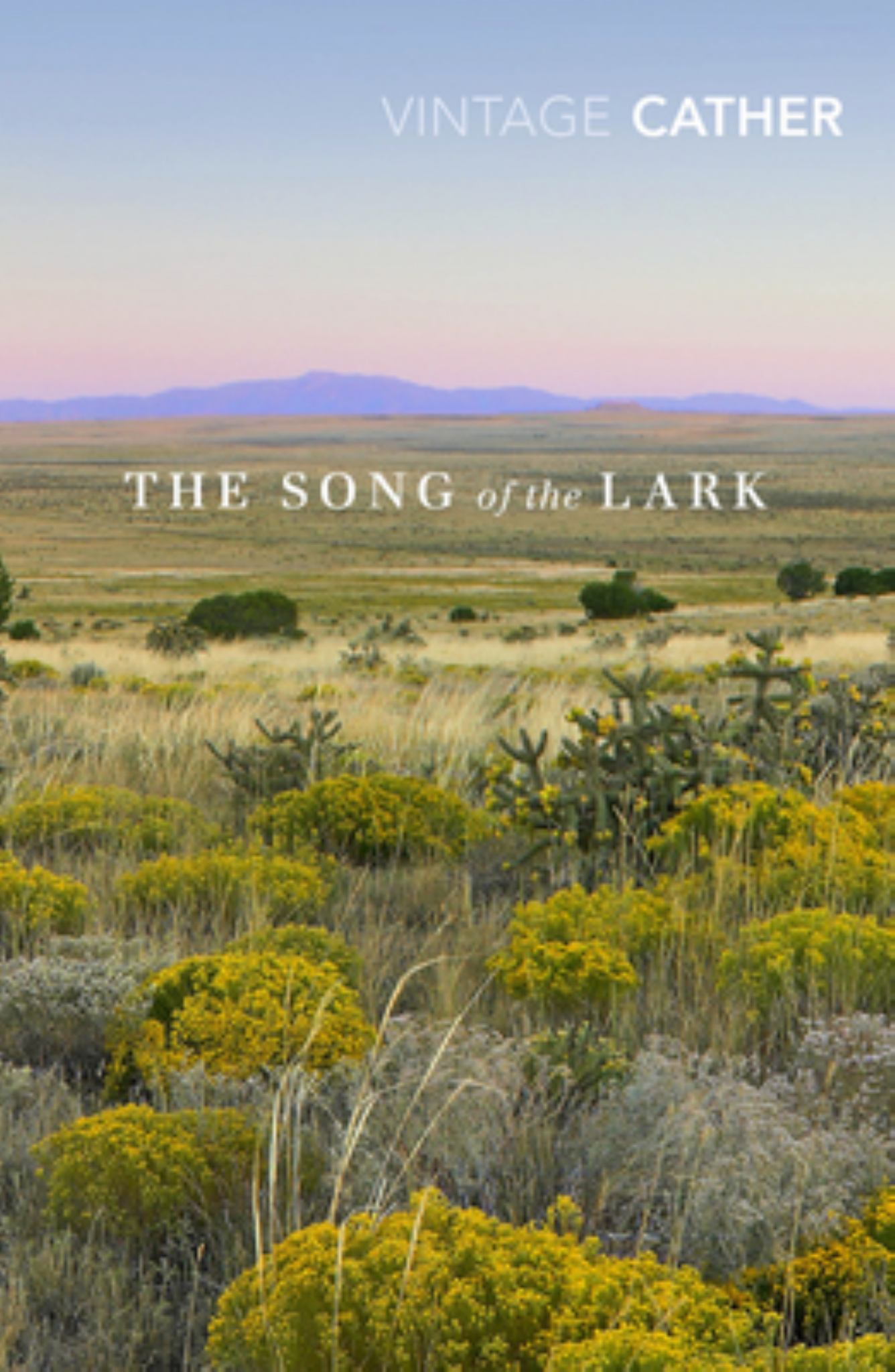 Song of the Lark Cover Image