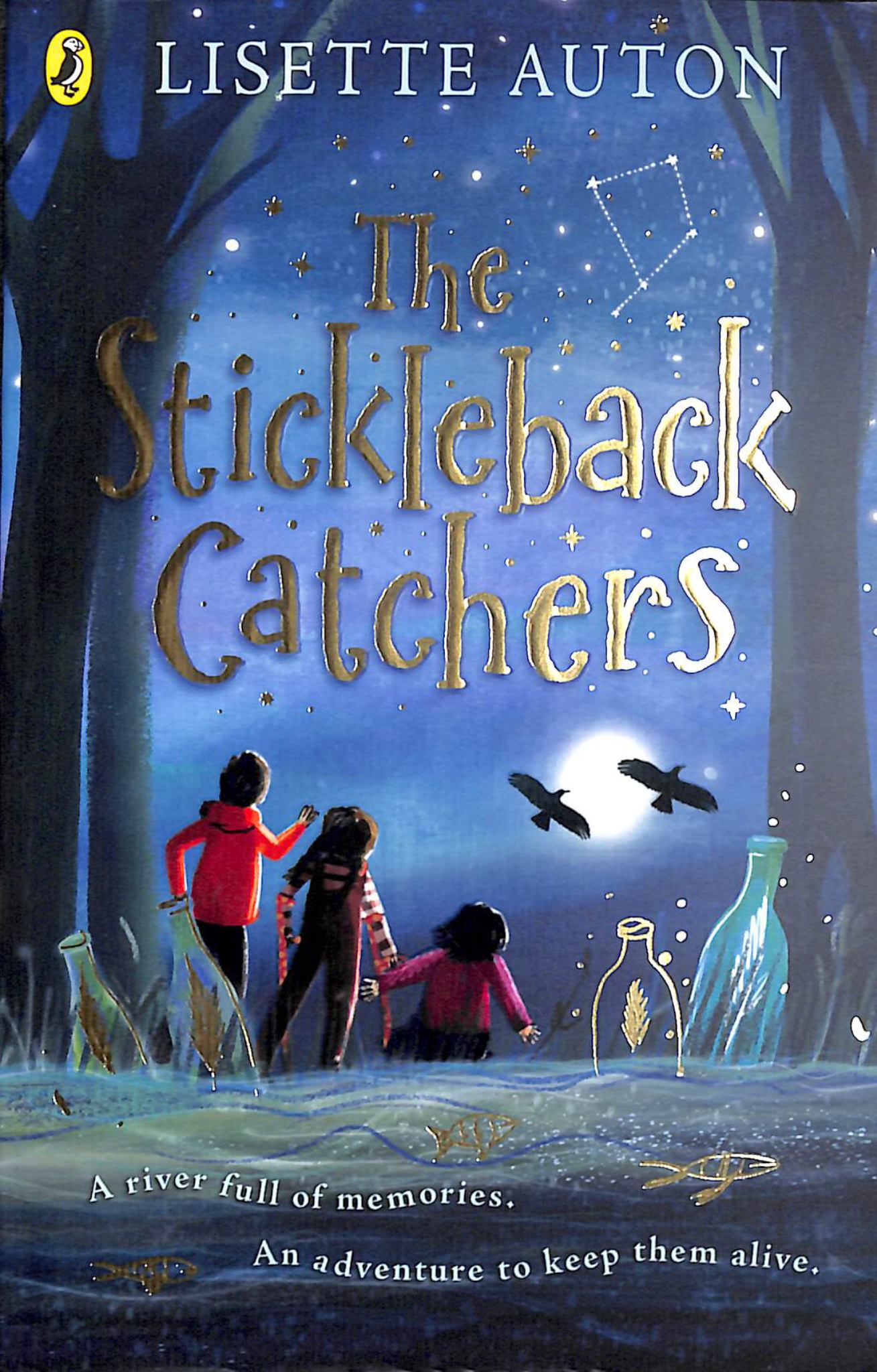 Stickleback Catchers Cover Image