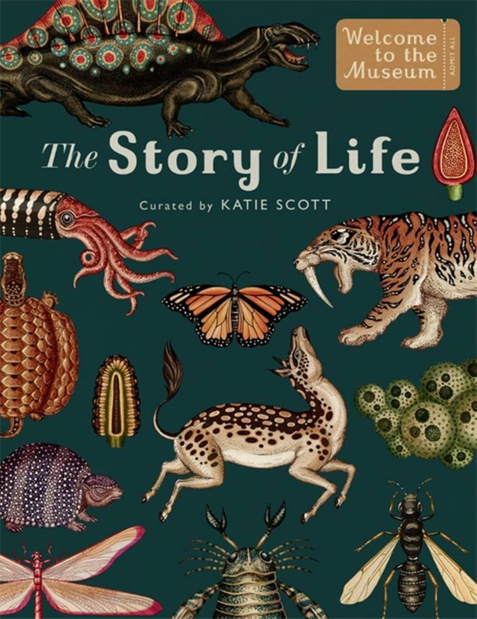 Story of Life: Evolution (Extended Edition) Cover Image