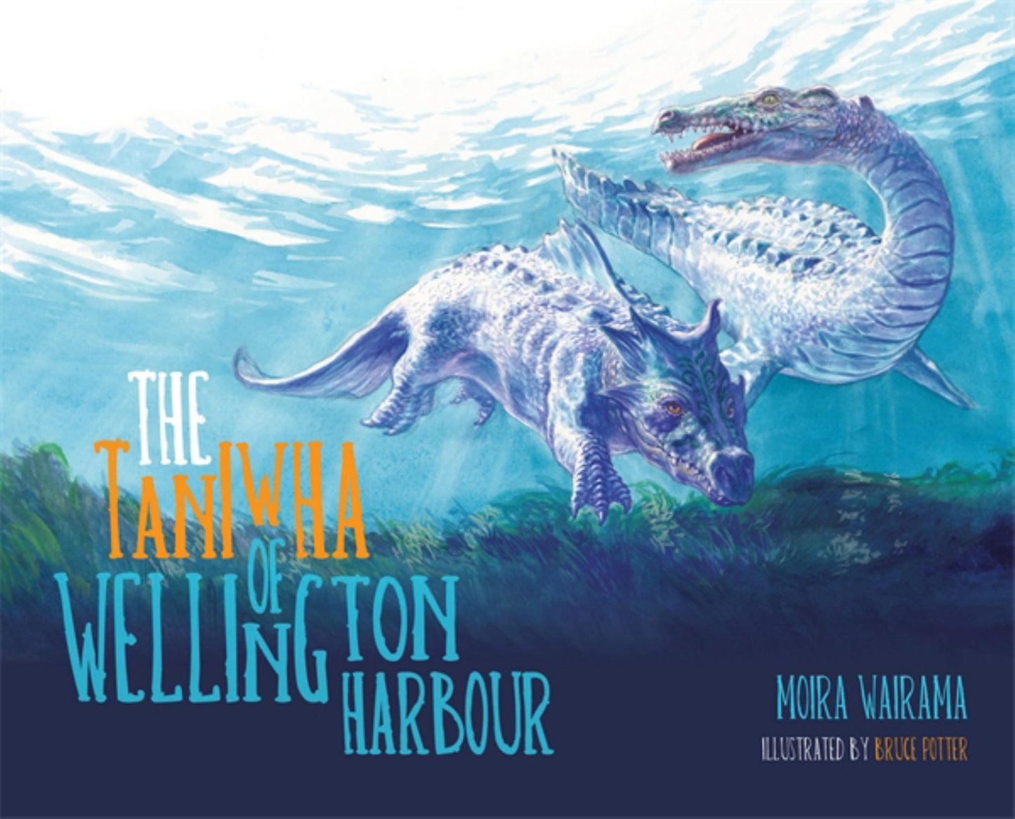 Taniwha of Wellington Harbour Cover Image