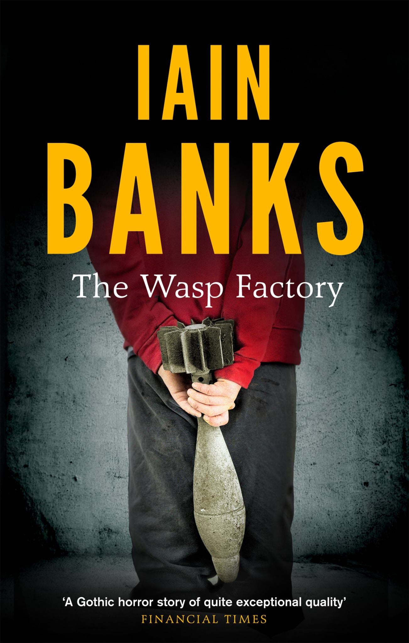 Wasp Factory Cover Image