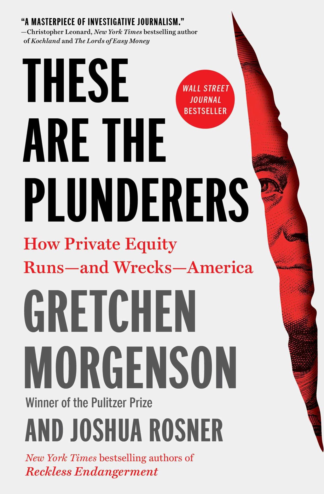 These Are the Plunderers How Private Equity Runs--And Wrecks--America Cover Image