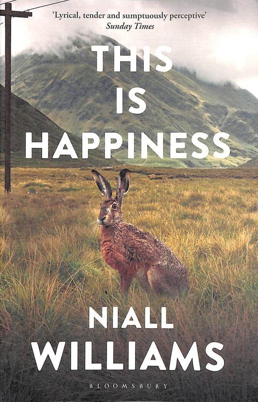 This Is Happiness Cover Image