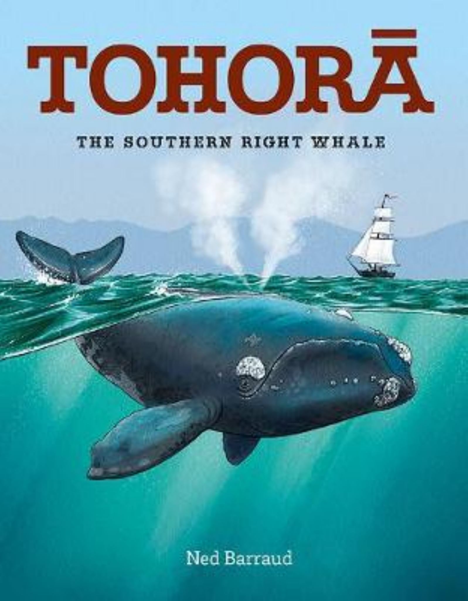 Tohora : the Southern Right Whale Cover Image