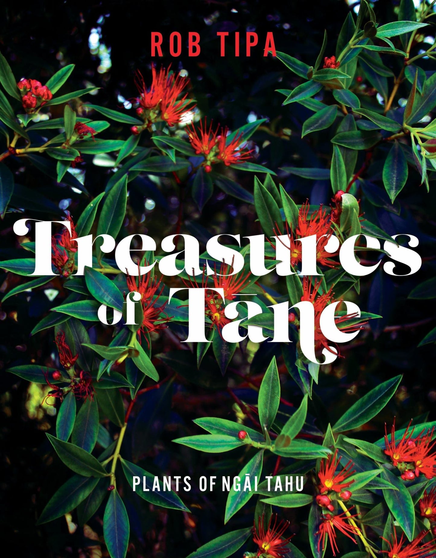 Treasures of Tane: Plants of Ngai Tahu Cover Image
