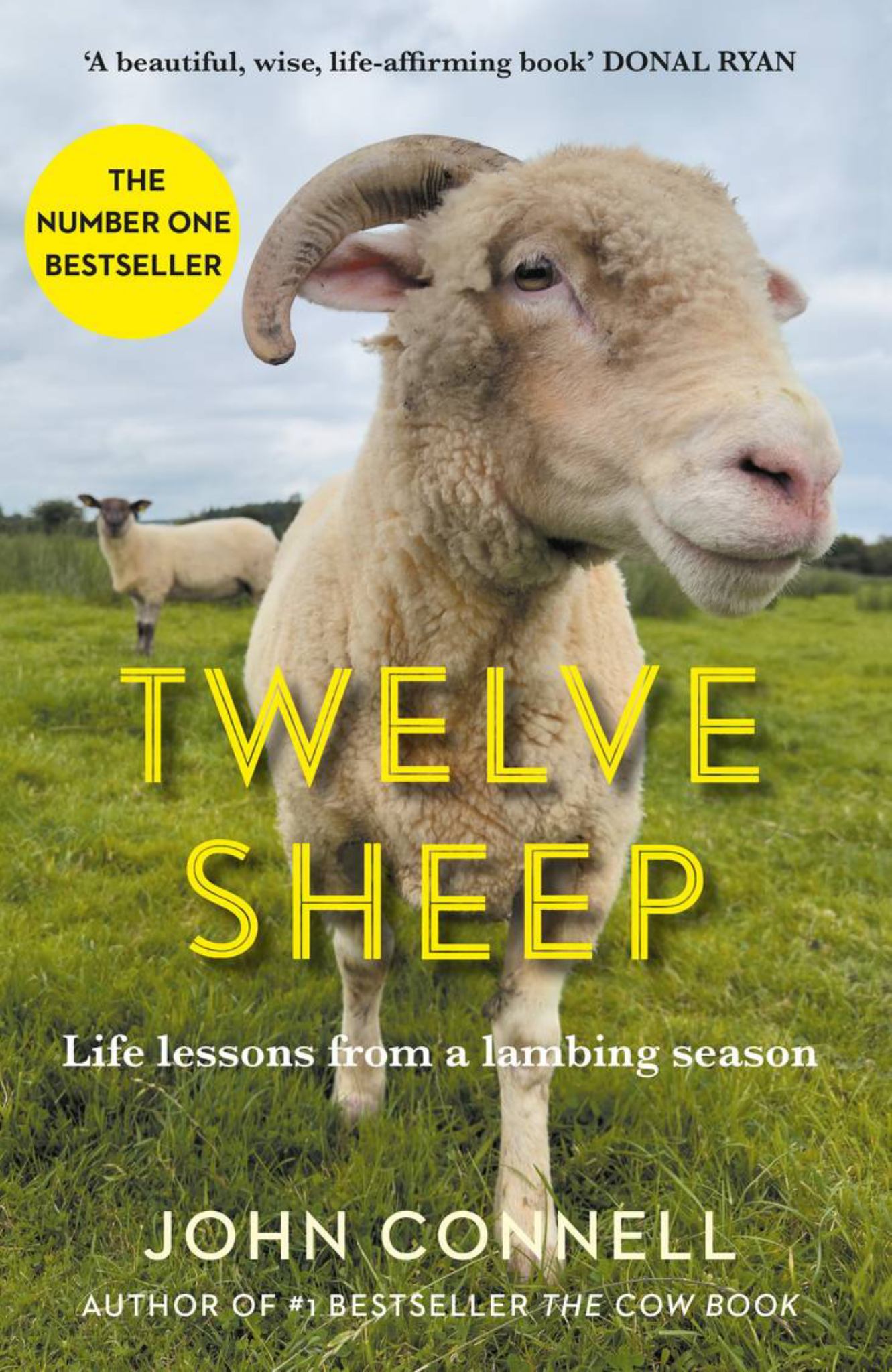 Twelve Sheep Cover Image