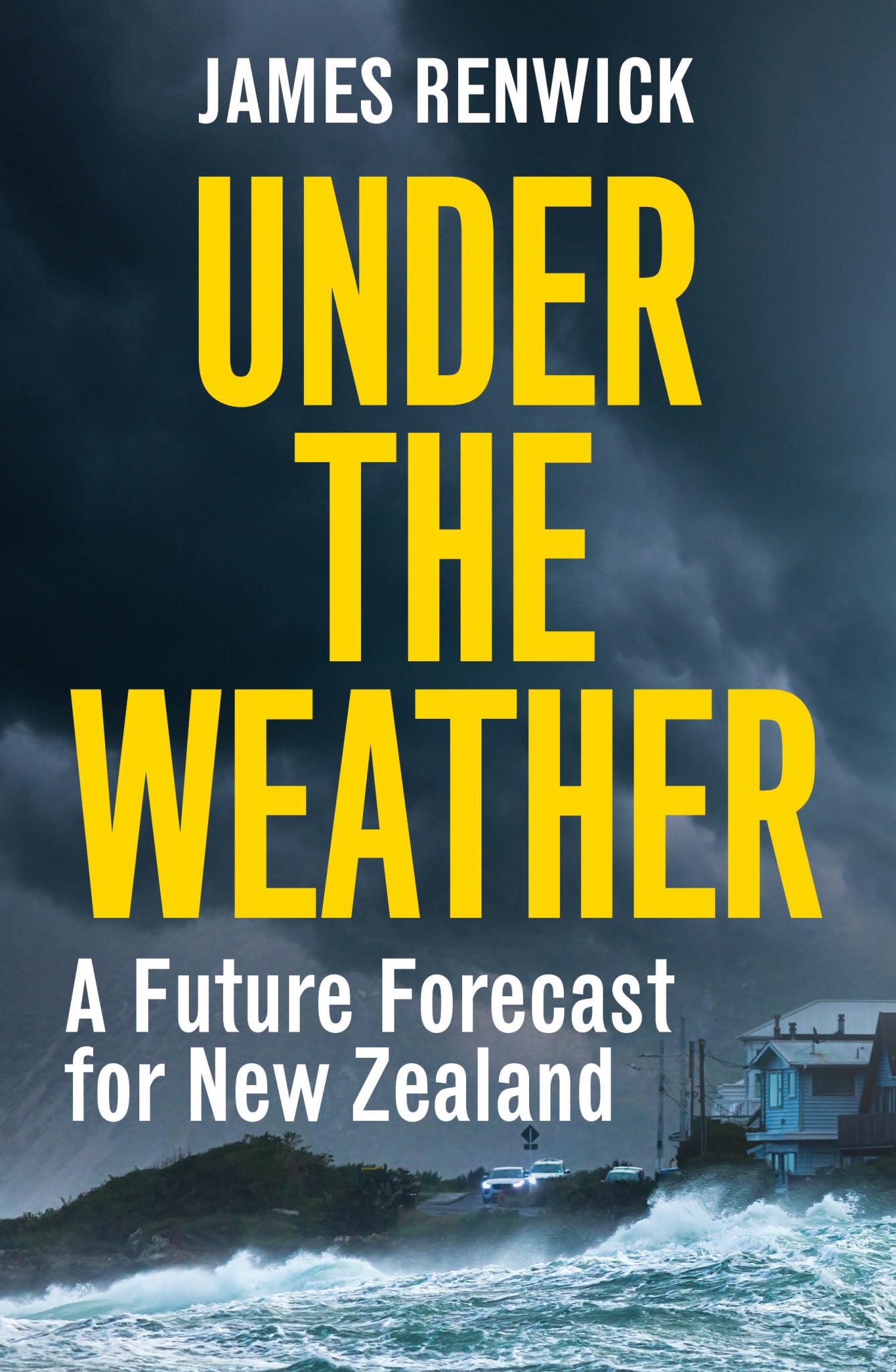 Under The Weather : A Future Forecast For New Zealand Cover Image