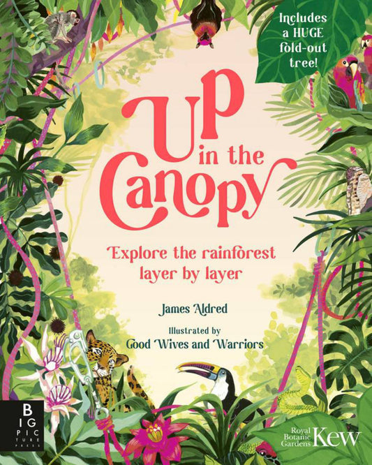 Up in the Canopy : Explore the Rainforest, Layer by Layer Cover Image
