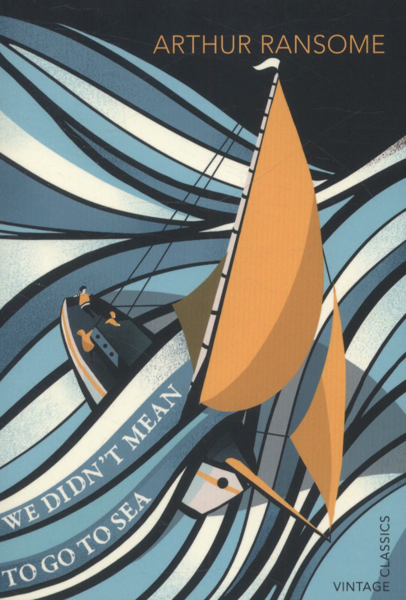 We Didn't Mean to Go to Sea Cover Image