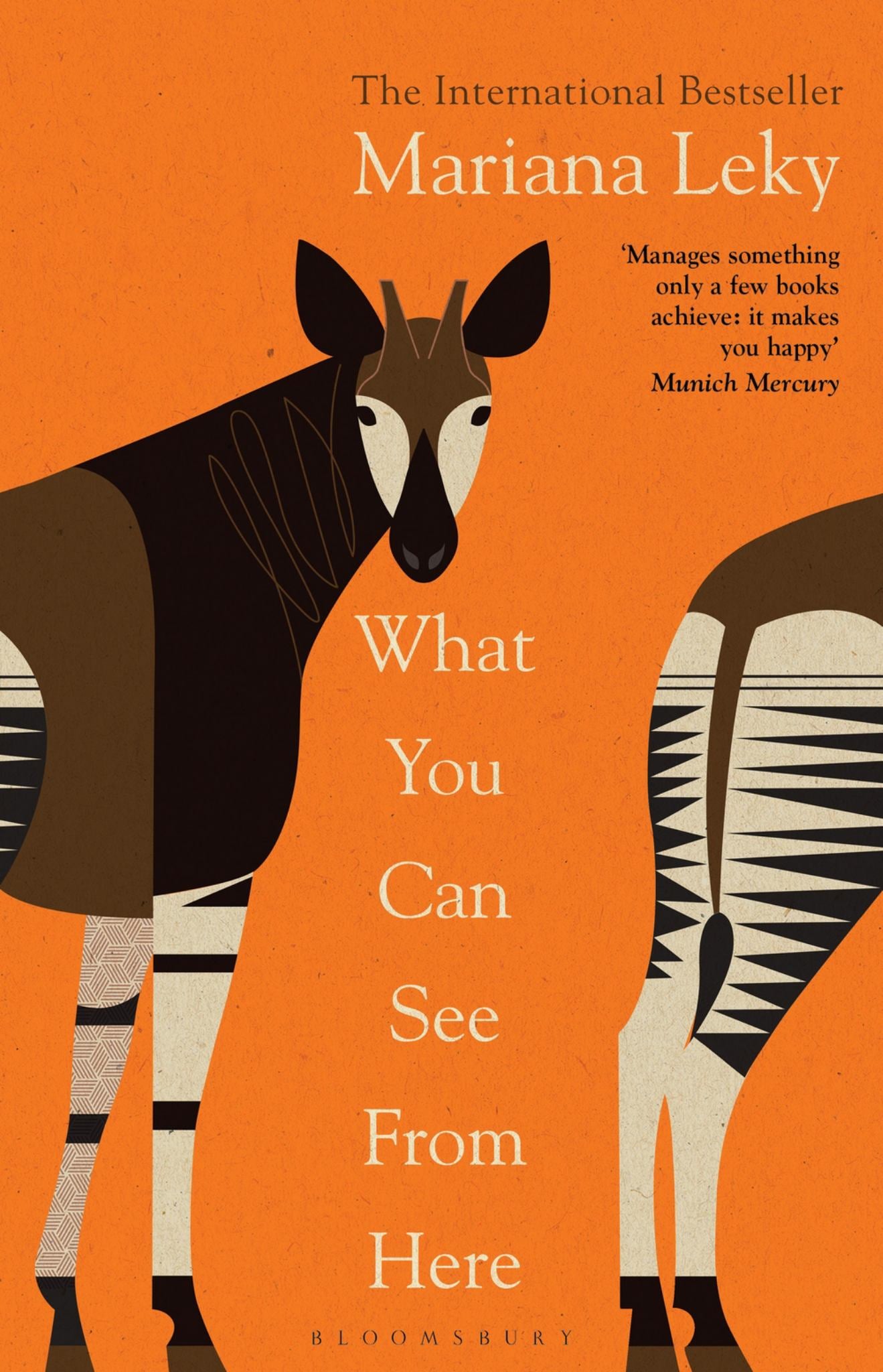 What You can See from Here Cover Image