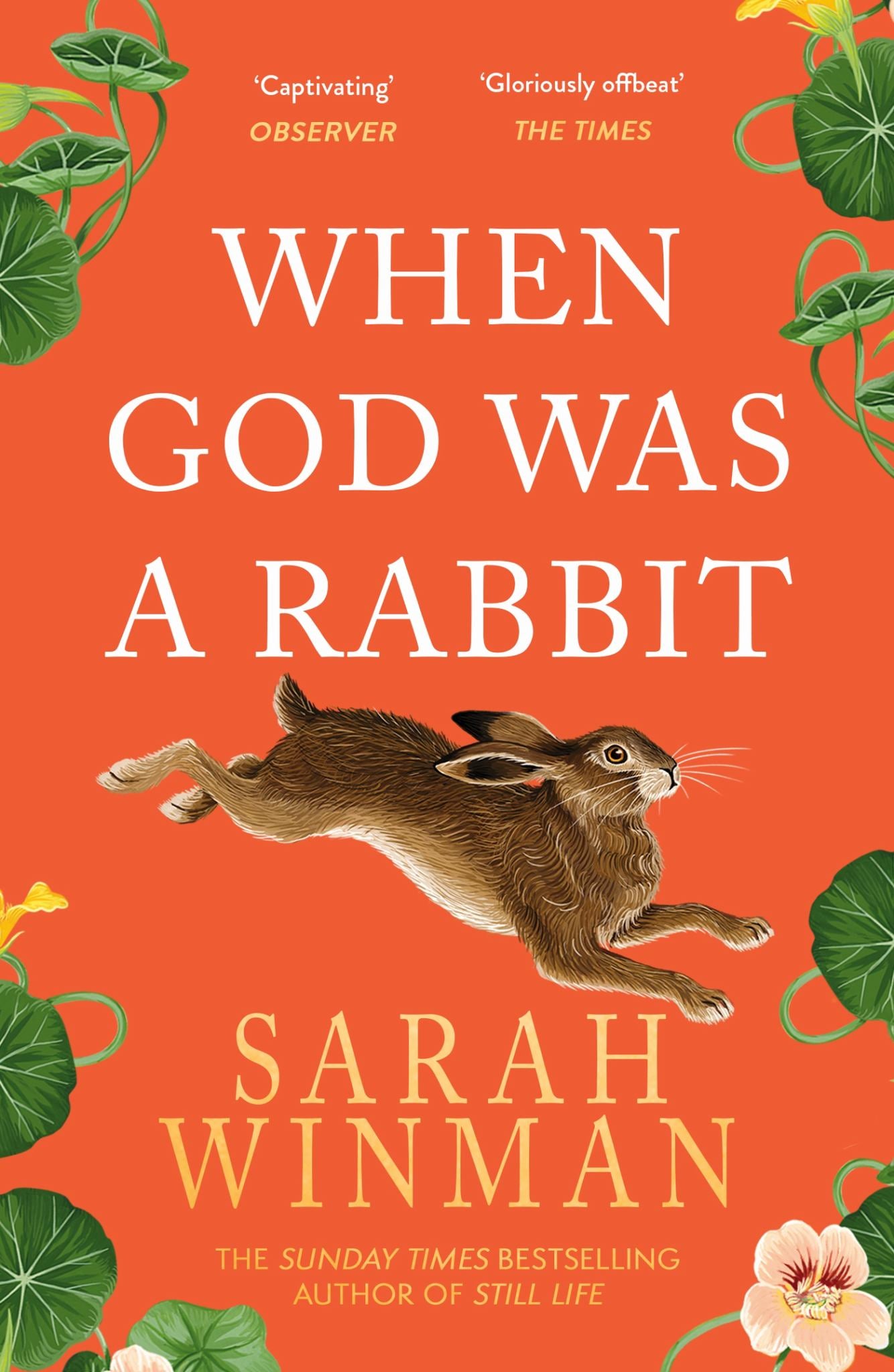 When God Was a Rabbit Cover Image