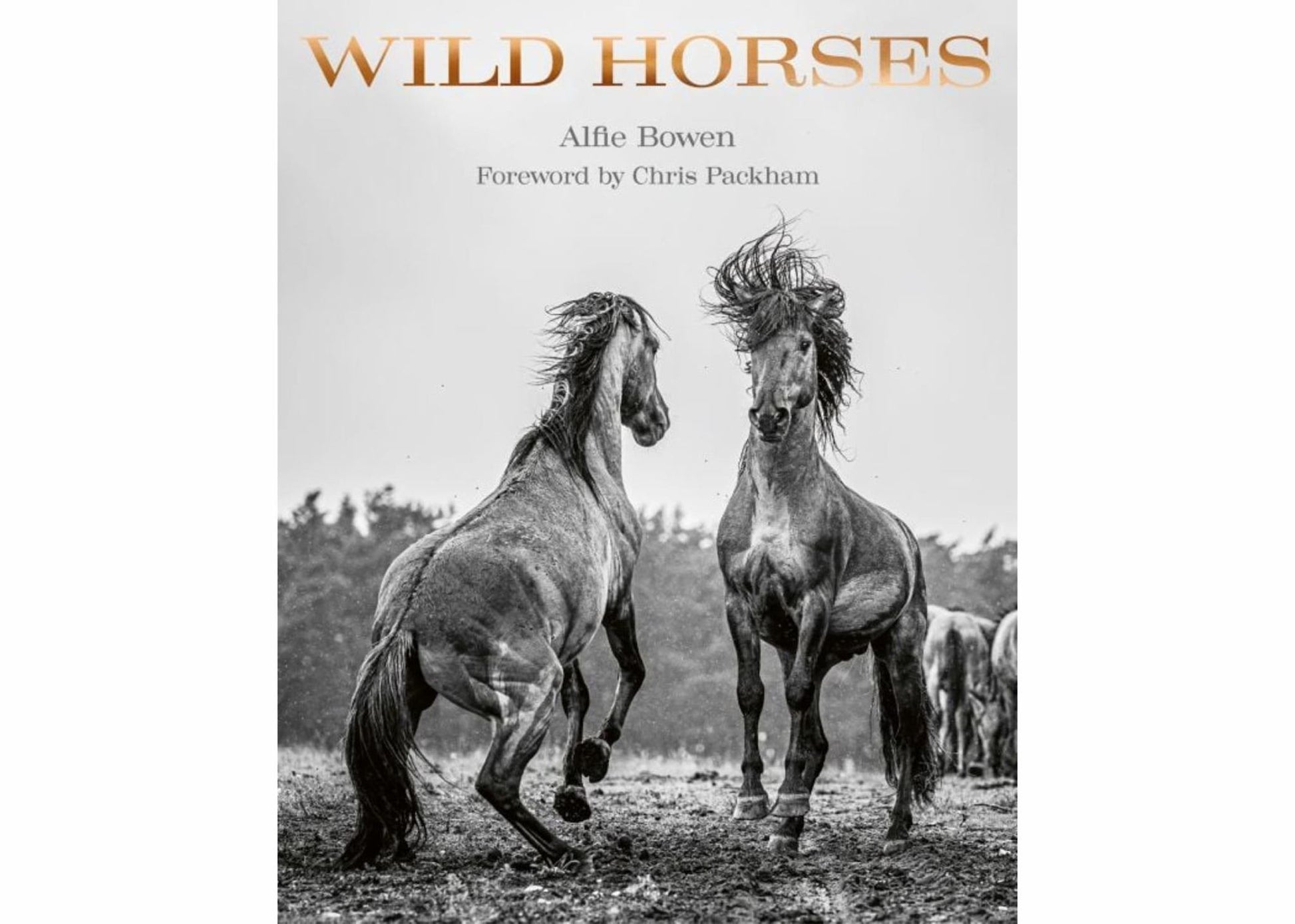 Wild Horses Cover Image