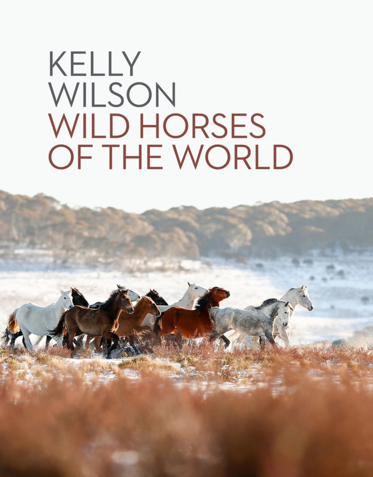 Wild Horses of the World Cover Image
